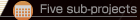 Five sub-projects